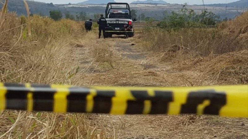 Tras balaceras, en Parácuaro, hallan 3 cadáveres 