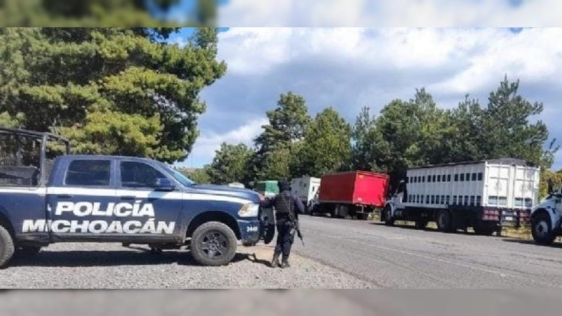 Permanente vigilancia policiaca a los aguacateros