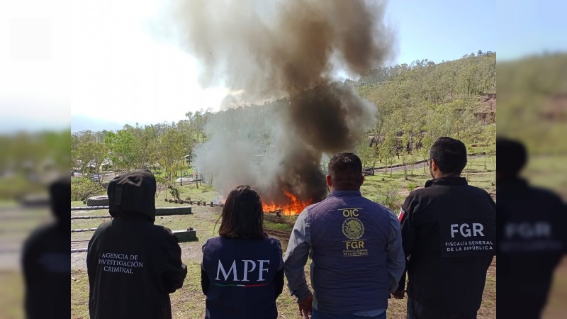 Destruyen mas de una tonelada y media de drogas, aseguradas en operativos