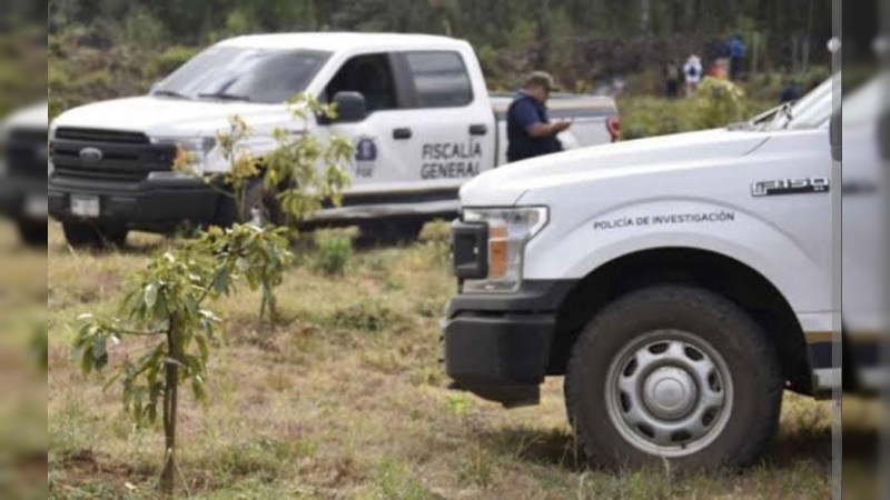 Hallan cadáveres de 2 personas, en fosas clandestinas de Panindícuaro 