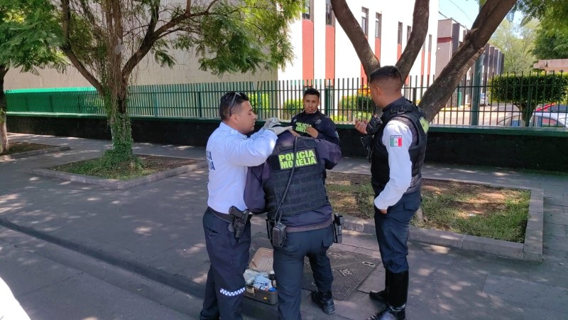 Ataque de abejas deja 17 heridos, en Morelia 