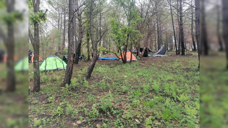 Hallan 4 muertos, en narcocampamento reventado, en Zinapécuaro 