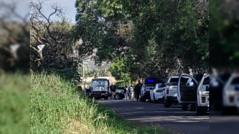 De 2 y 3 años de edad, los niños asesinados junto a 4 adultos, en Tarímbaro  