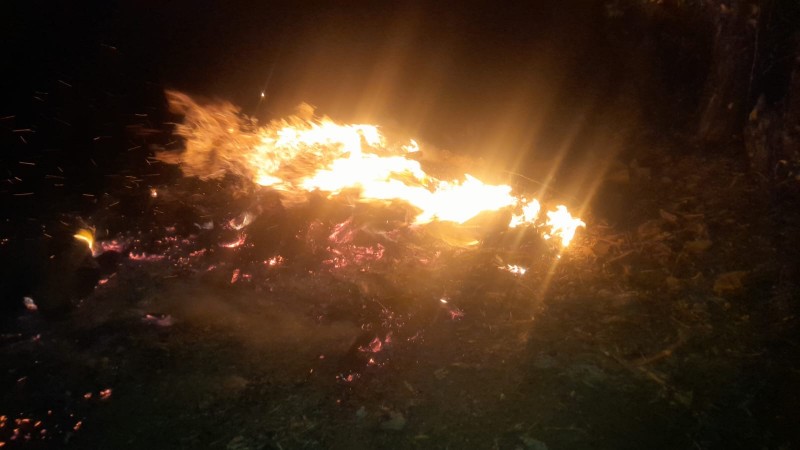 Novecientos brigadistas combaten incendios forestales en Michoacán