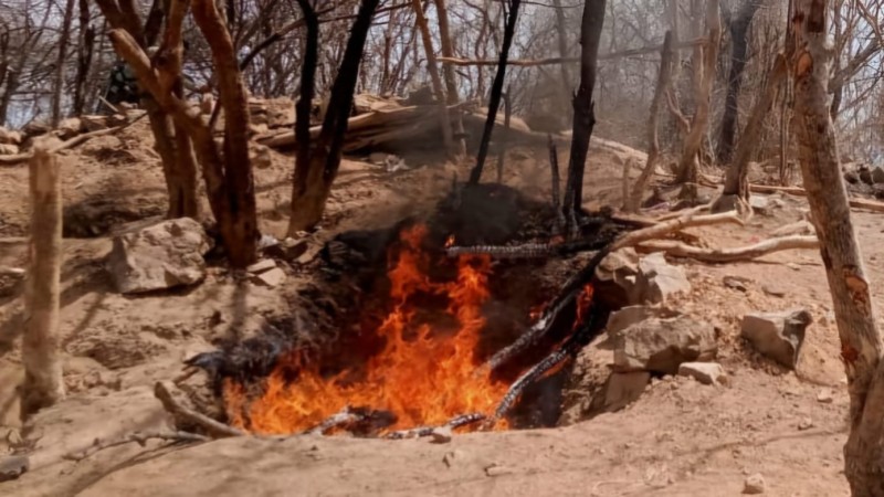 Revientan 2 narcocampamentos y hallan explosivos, en Tierra Caliente 