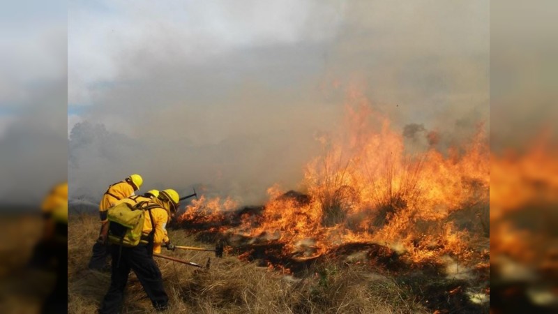 Muere calcinada brigadista que combatía incendio forestal, en Tuxpan 