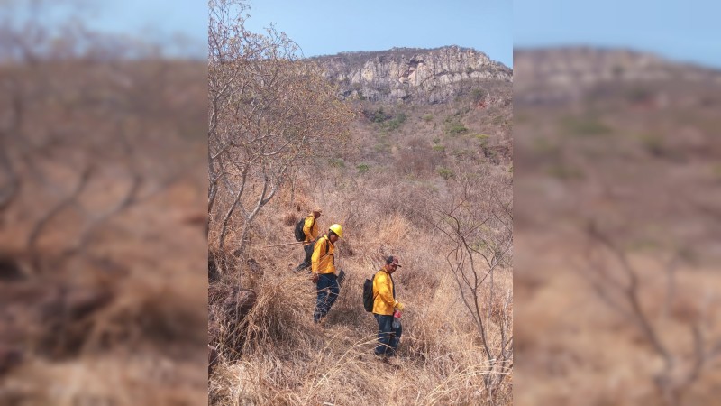 Más de 100 brigadistas combaten 5 incendios en Michoacán