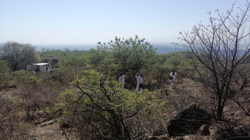 Hallan cadáver carcomido de mujer, en La Huacana 