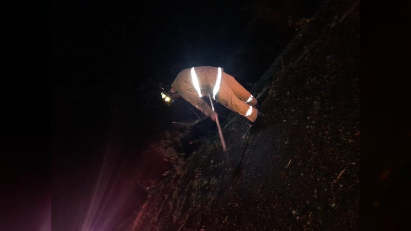 Choca contra árbol y lo derriba sobre la Pátzcuaro-Uruapan