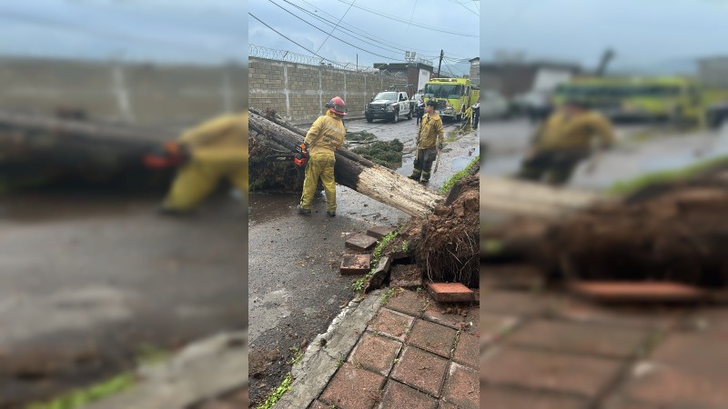 Brigadas intermunicipales atienden incidencias por lluvias en Morelia