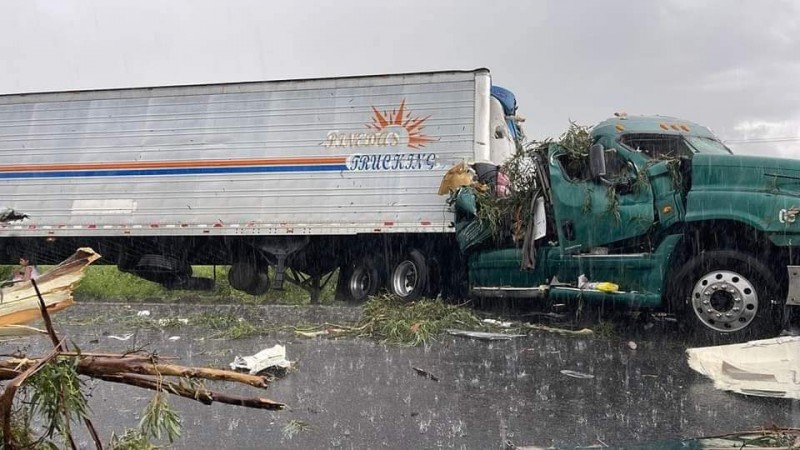 Colapsa árbol y aplasta cabina de tráiler, en la Morelia-Pátzcuaro 