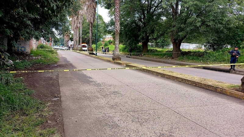 Joven motociclista muere al chocar contra una palmera, en Zacapu