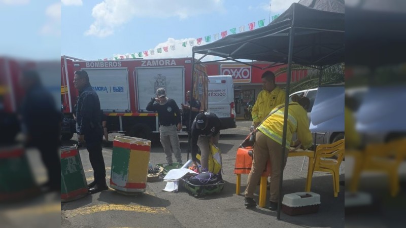 Enjambre ataca a 17 personas en Zamora