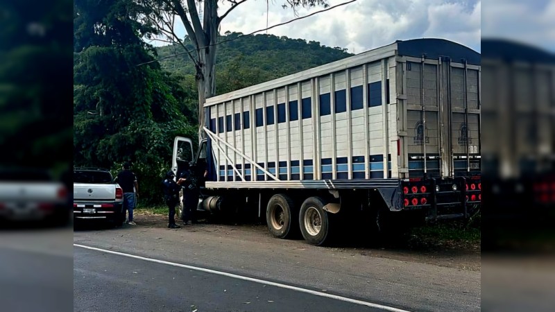 Delincuentes enfrentan a policías, en Huiramba 