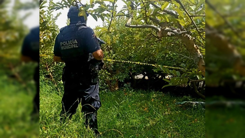 Asesinan a adulto mayor, en huerta de guayaba, en Jungapeo 