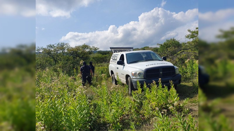 Hallan fosa con 2 cadáveres, en narcocampamento de Zamora 