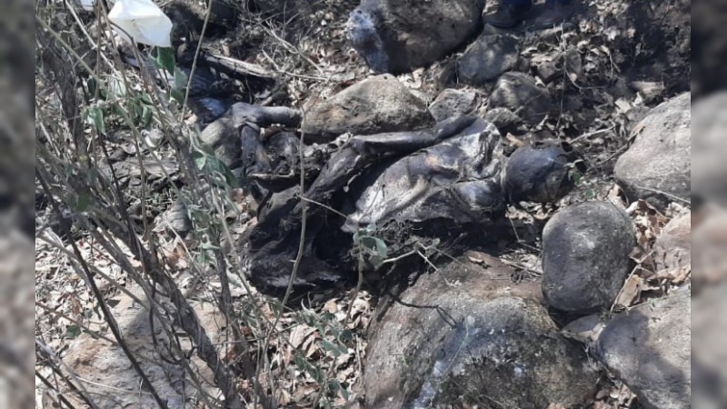 Hallan fosa clandestina con 2 cadáveres, en Jacona 