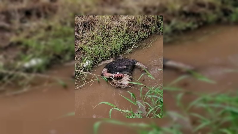 Encuentran a hombre maniatado y muerto a tiros; en canal de desagüe de Zamora 