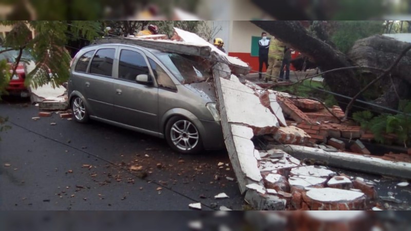 Árbol se desploma y tumba barda, en Morelia  