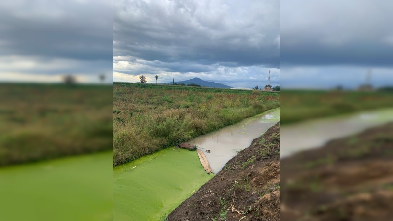 Hallan flotando un cadáver, en canal de riego de Zamora 