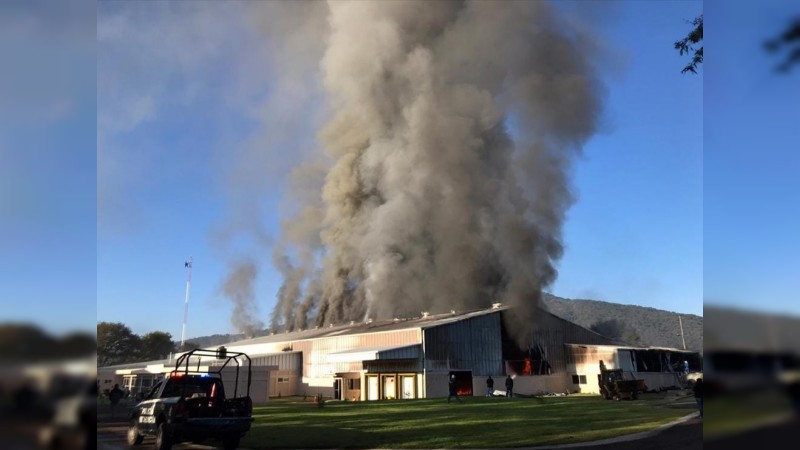 Comando incendia empaque de aguacate, en Tingüindín 