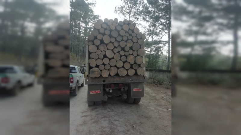 Detiene  FGE a presunto responsable de delitos contra el ambiente y asegura recurso forestal