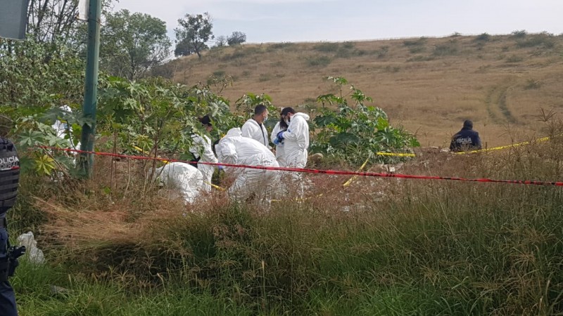 Hallan partes de un cuerpo humano, esparcidos en Indaparapeo 