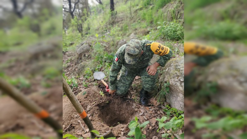 Militares reforestan la Loma de Santa María  