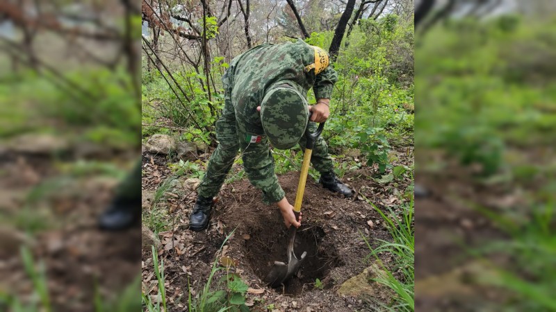 Militares reforestan la Loma de Santa María  